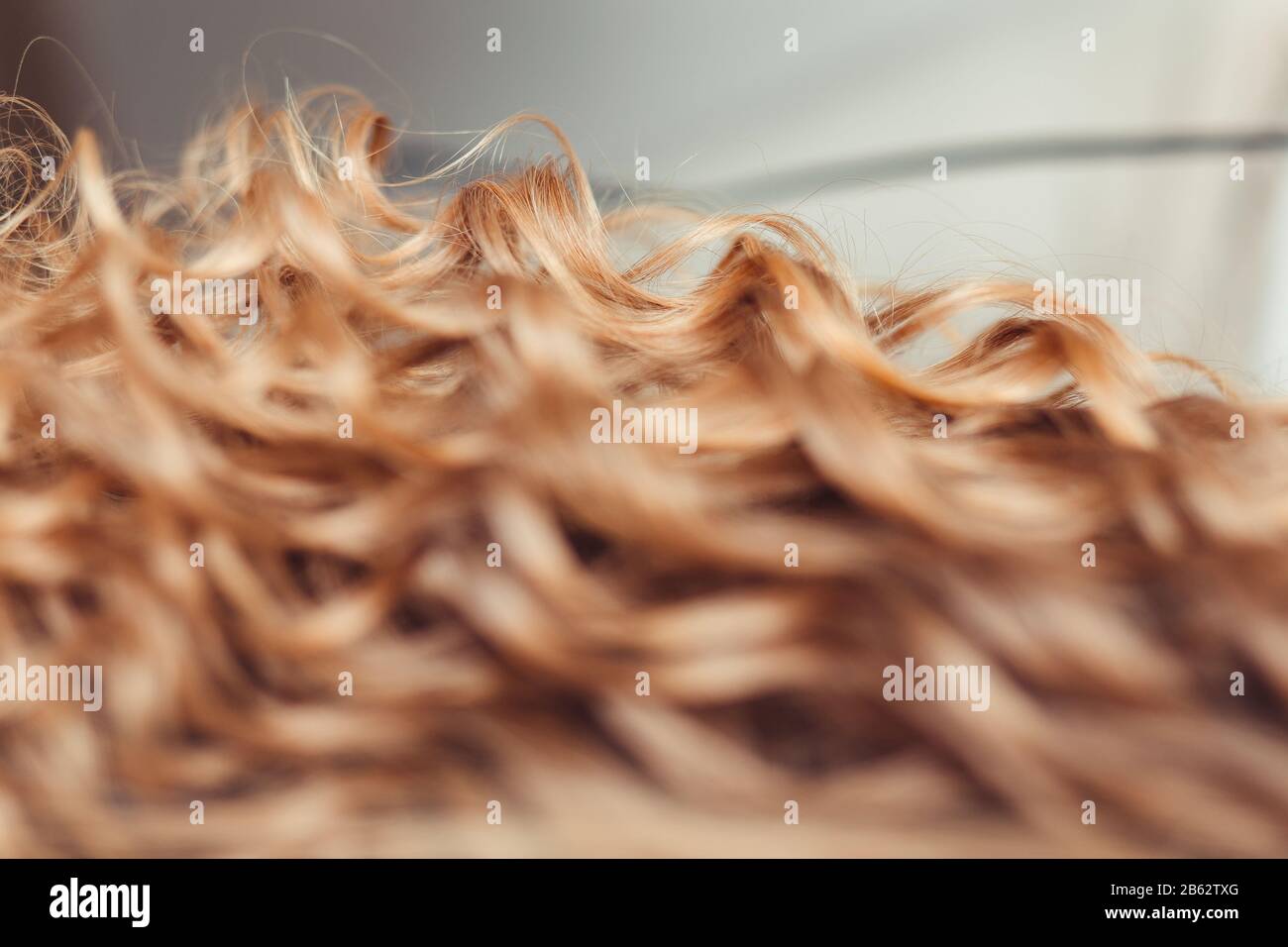 Hair hairy blonde blond hi-res stock photography and images - Alamy