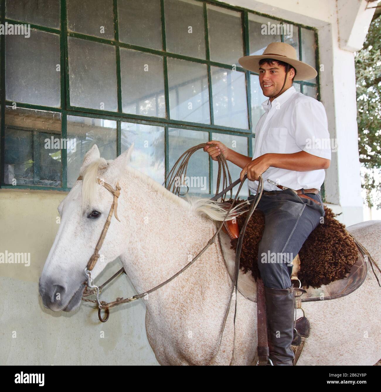 gaucho on horse, bolero, hat, braided lasso, boleadora, bolas, job, estancia, Equus ferus caballus, La Rapida Ranch; South America; Uruguay; summer; M Stock Photo