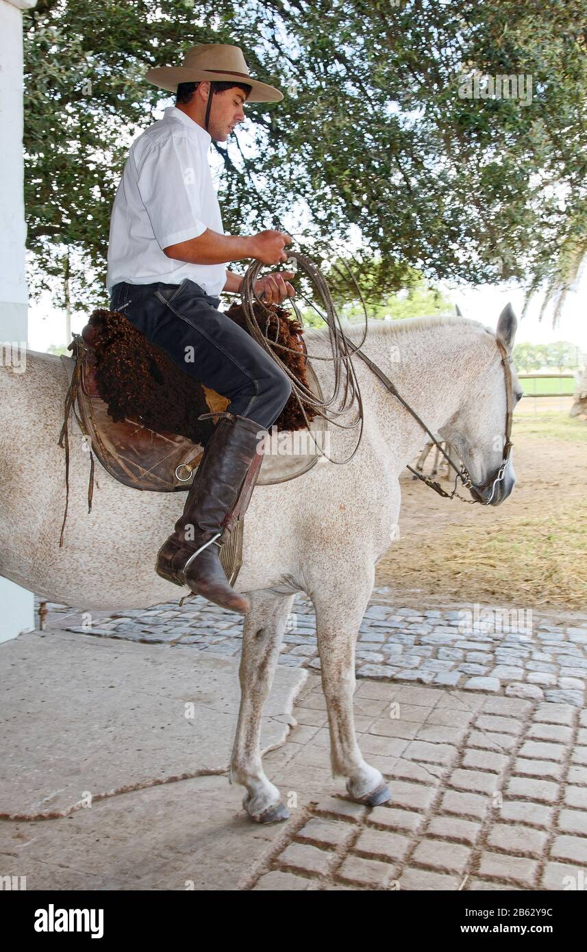gaucho on horse, bolero, hat, braided lasso, boleadora, job, estancia, Equus ferus caballus, La Rapida Ranch; South America; Uruguay; summer; MR, PR Stock Photo
