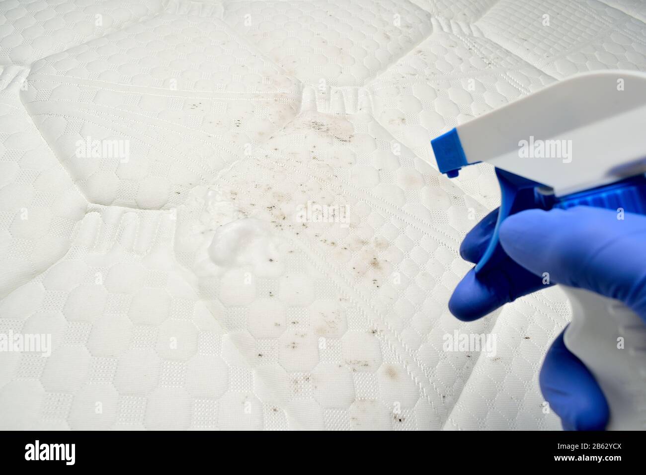Removing mold with a Foam cleaner. Cleaning a mattress cloth with a liquid stain remover. Fungus