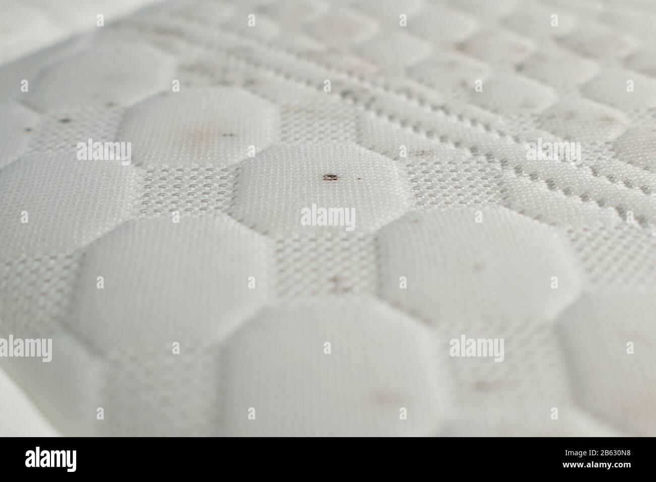Mold on a mattress. Black stains on a white fabric Stock Photo Alamy