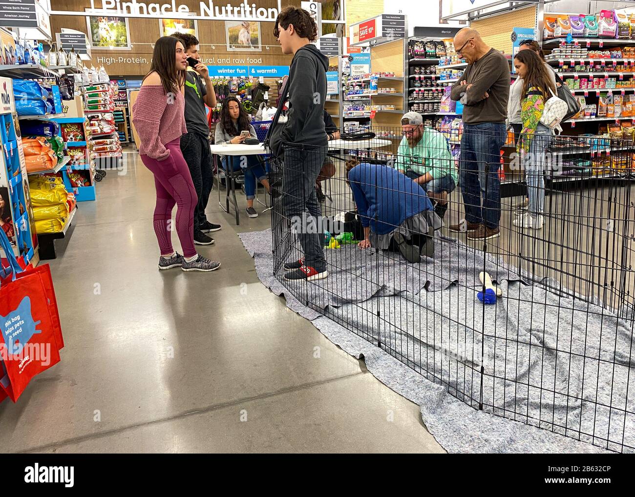 Orlando Fl Usa 3 7 20 A Family Looks At Adopting A Puppy At A Petsmart Pet Superstore During An Adoption Weekend Stock Photo Alamy