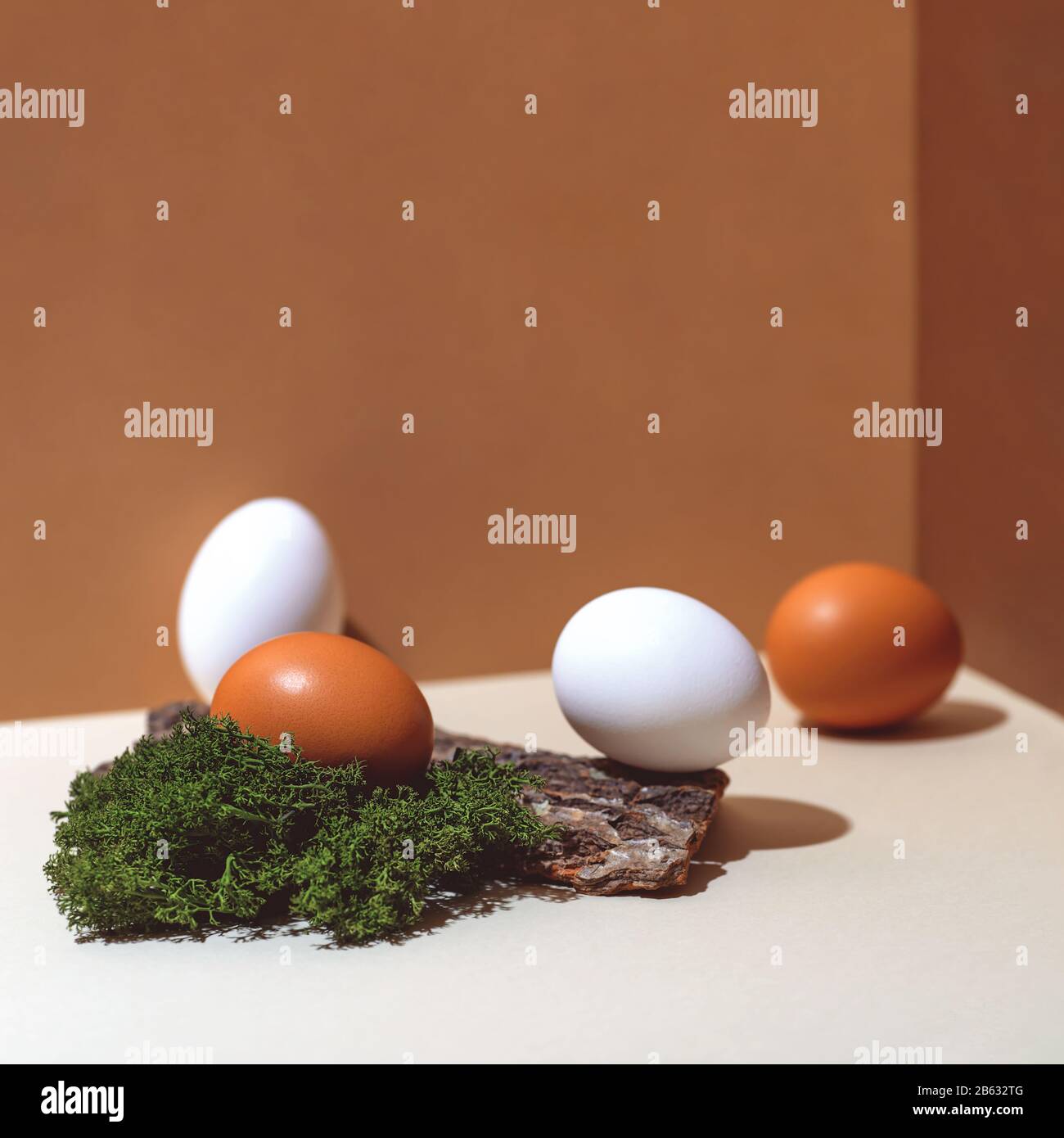 Four multi-colored eggs and natural materials moss and wood. Easter concept. Stock Photo