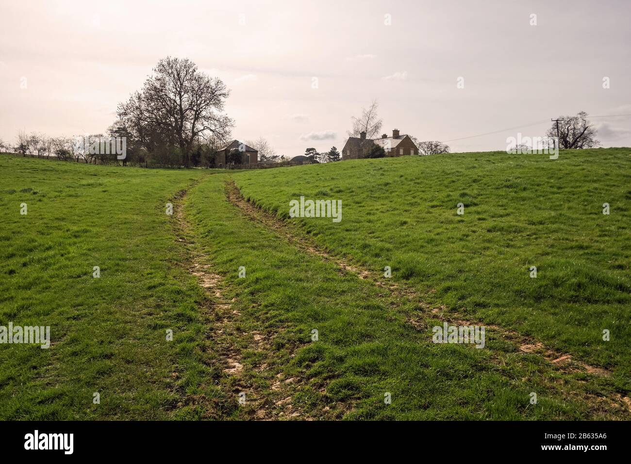 Tire tracks in  field leading to farm in Northamptonshire UK Stock Photo