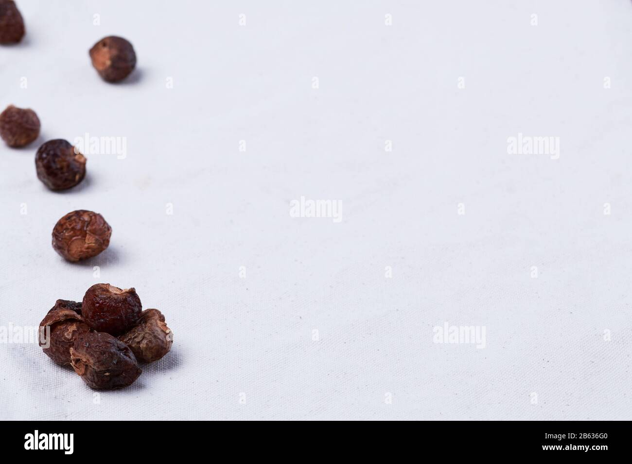 The shells of soapberries (Sapindus saponaria) in line on a beige organic cotton fabric, with copy space Stock Photo