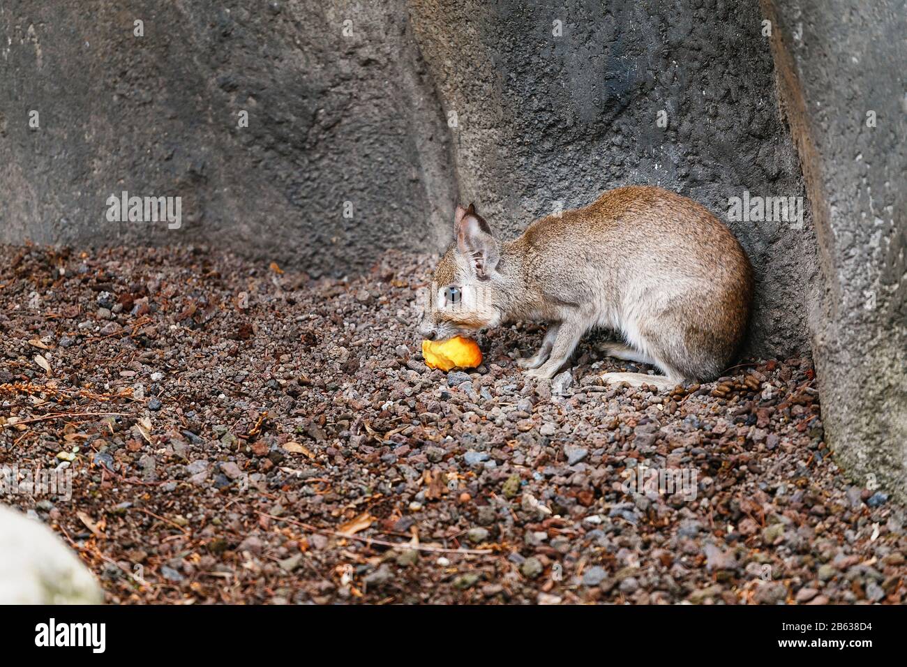 Similiar to this one hi-res stock photography and images - Alamy