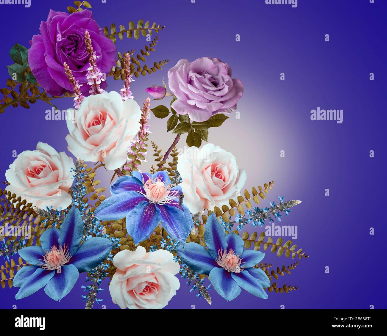 GREETING CARD DESIGN: Floral Display of Roses and Clematises Stock Photo