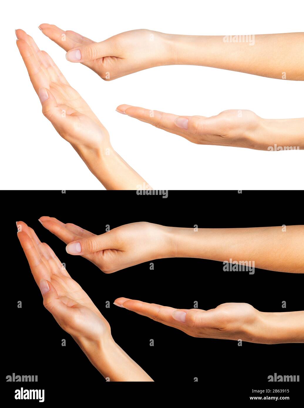 Set of women hands taking or showing something Stock Photo Alamy