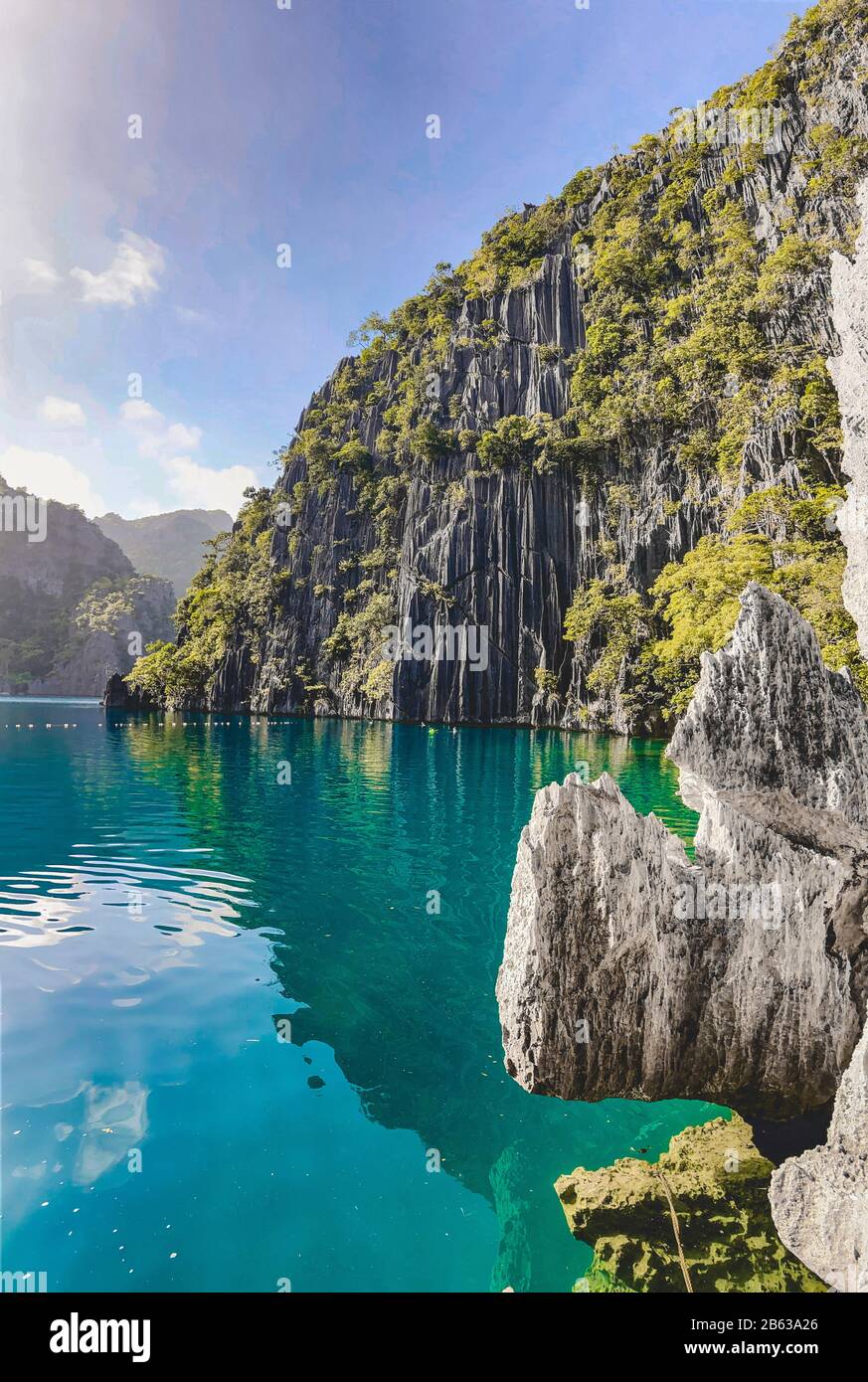 Barracuda See Palawan Barracuda See Coron Akapv