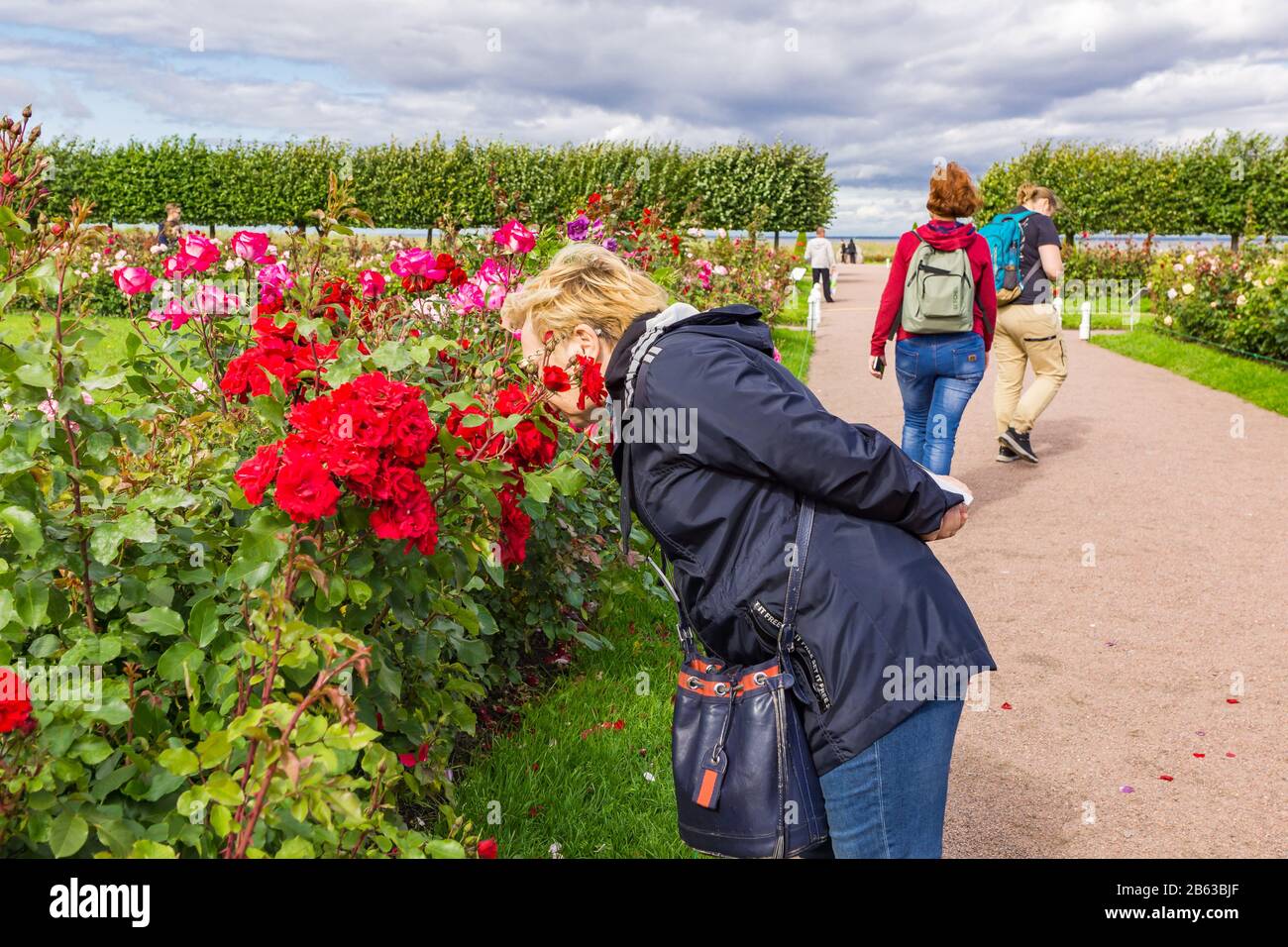 woman sniffing roses Stock Photo