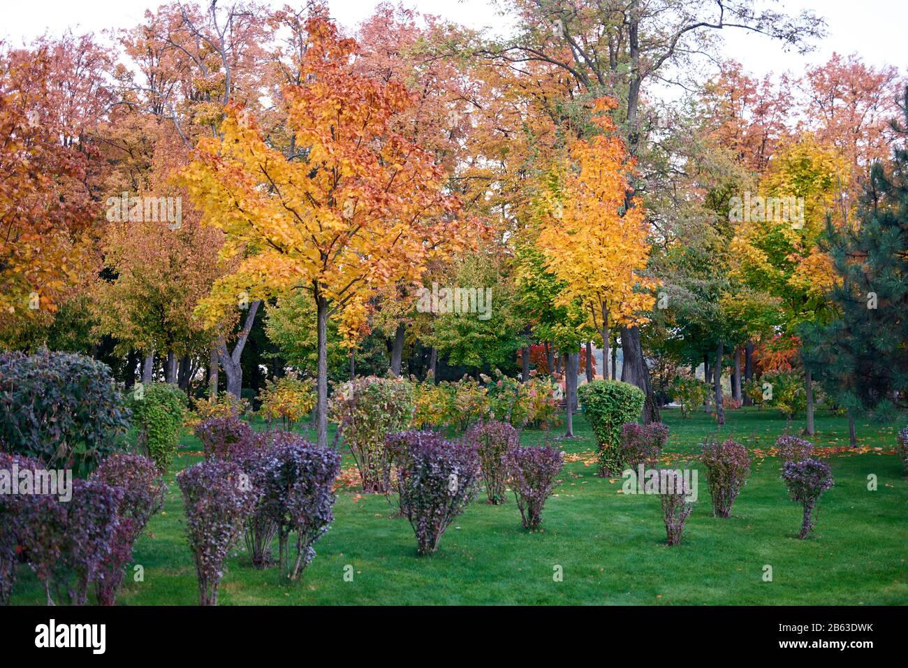 Beautiful meadow color change hi-res stock photography and images - Alamy