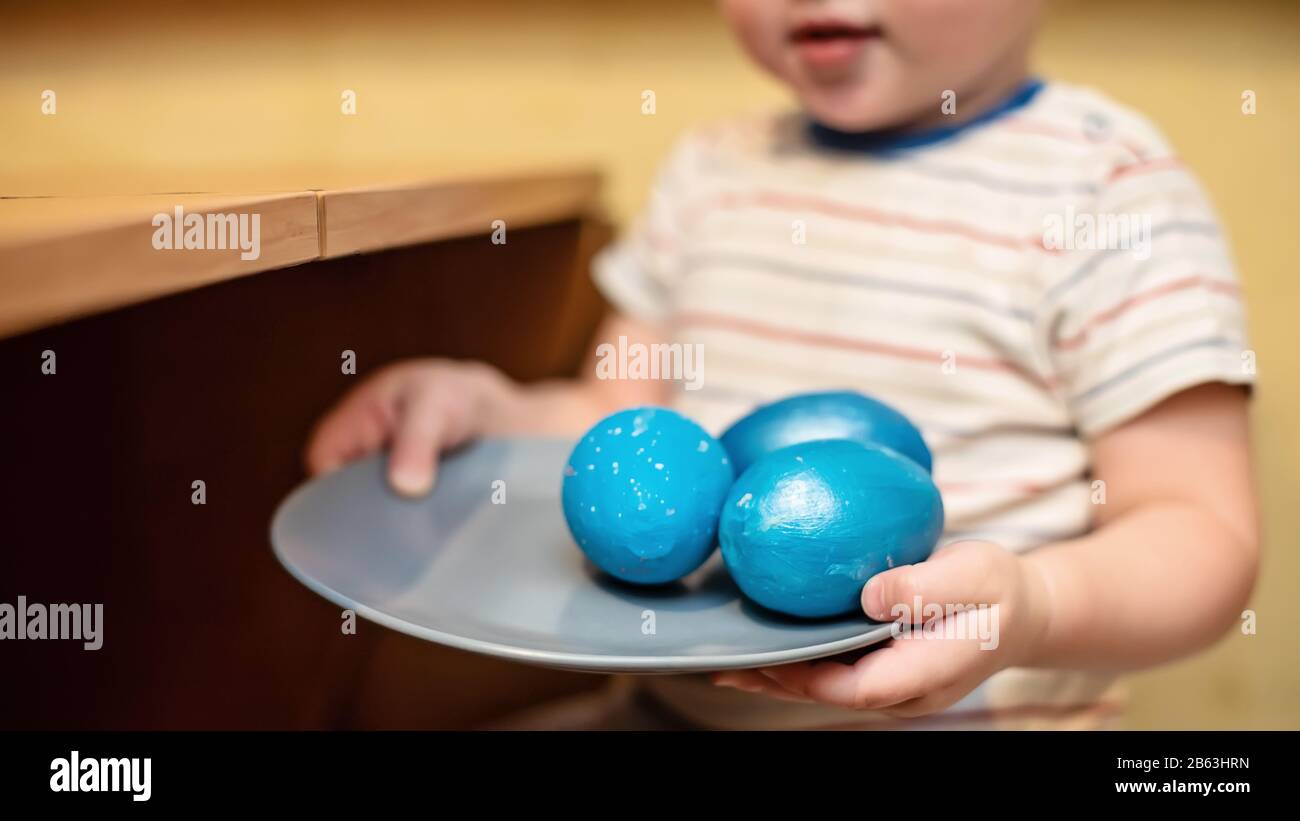 hands of small child hold plate with blue eggs. colouring eggs for eastertime at home for spring religious holiday. Copy space Stock Photo