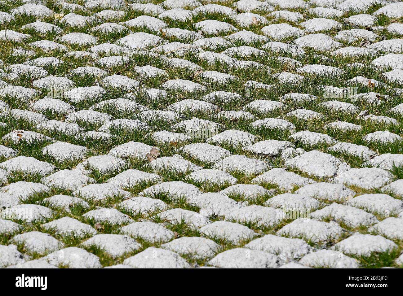 Paved stones with green grass growing in between Stock Photo