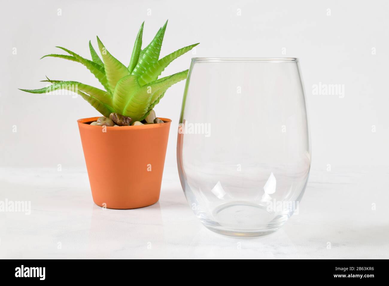 Download Stemless Wineglass Mockup Resting On A White Marble Background Next To A Cheery Aloe Vera Plant Stock Photo Alamy
