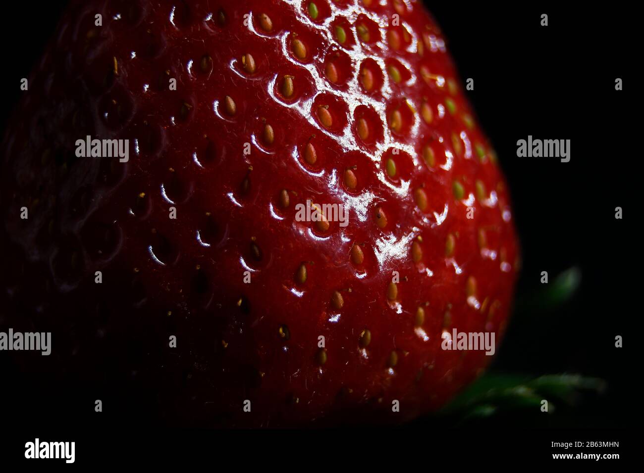 Macro of Strawberry shot in studio with black background Stock Photo ...