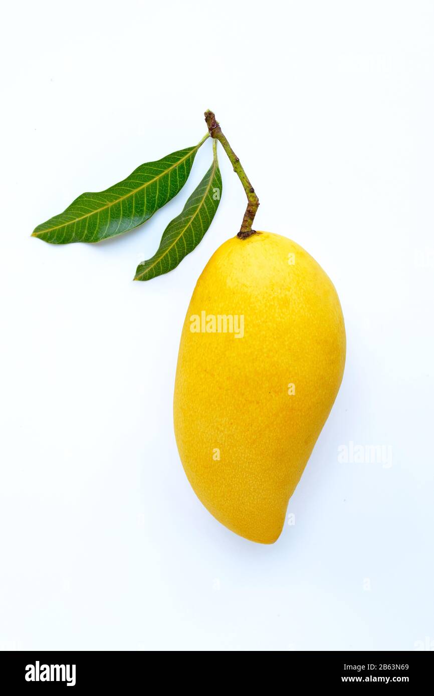 Top view of yellow mango, Tropical fruit juicy and sweet Stock Photo ...