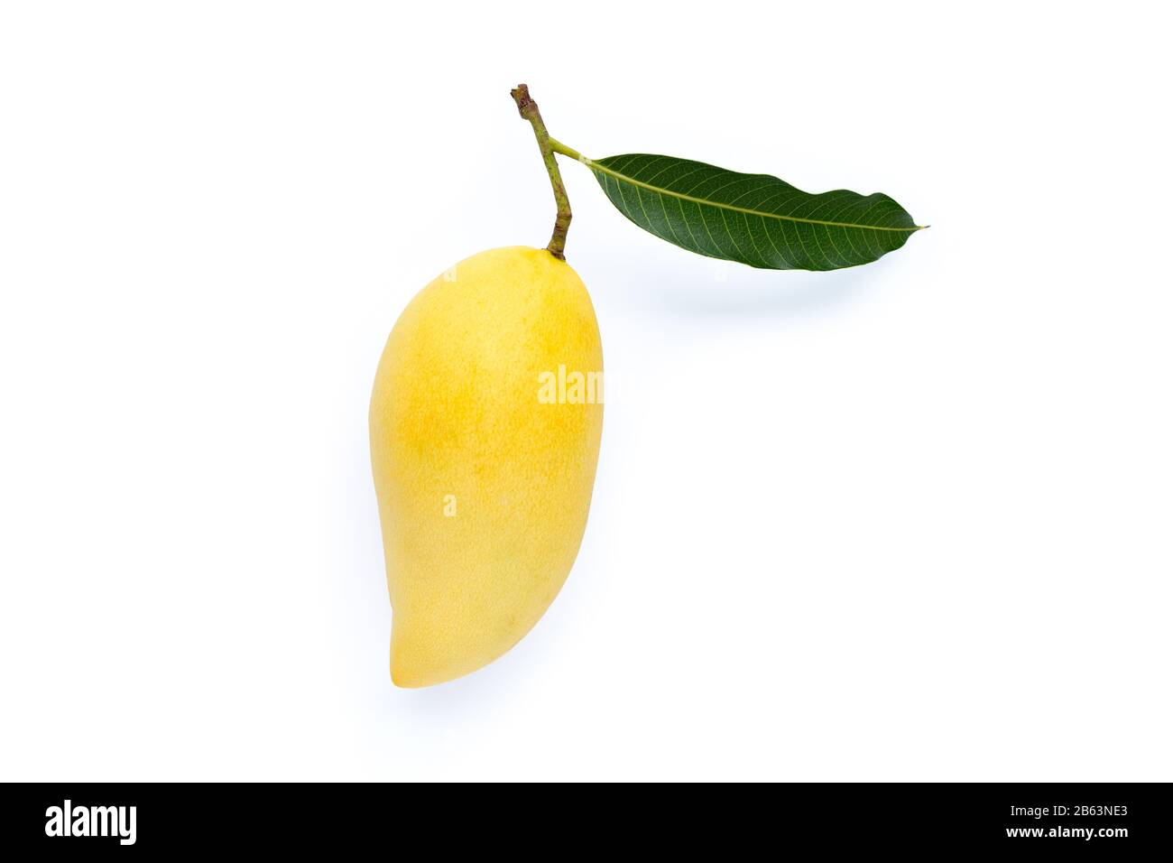 Top view of yellow mango, Tropical fruit juicy and sweet Stock Photo ...