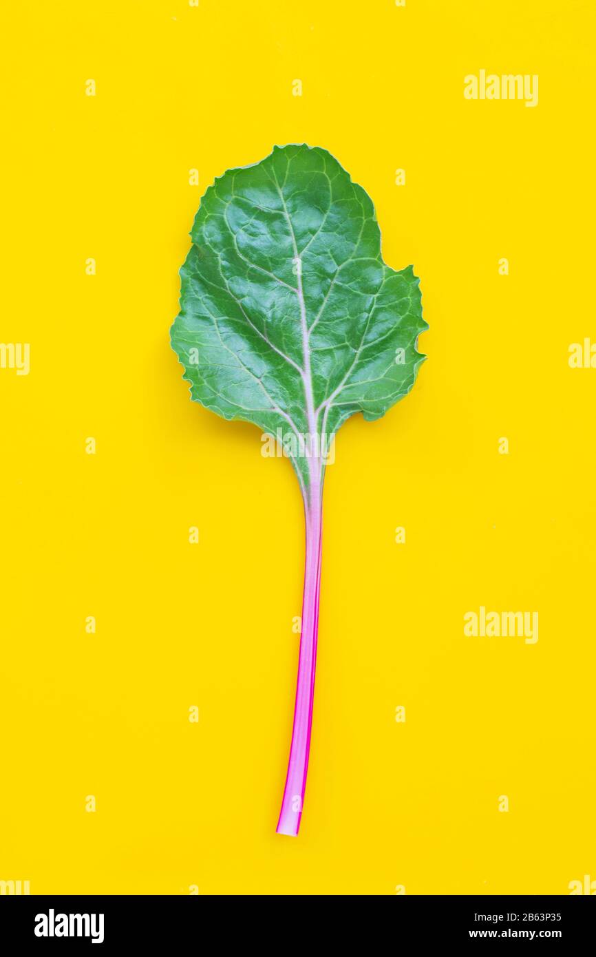 Fresh swiss chard on yellow background. Stock Photo