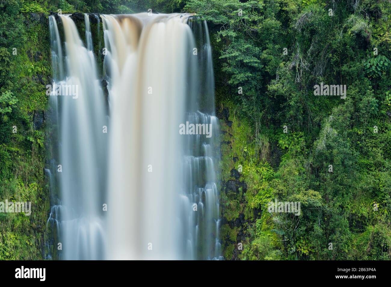 Akaka Falls, on the Island of Hawaiʻi, in full flow following heavy rains Stock Photo