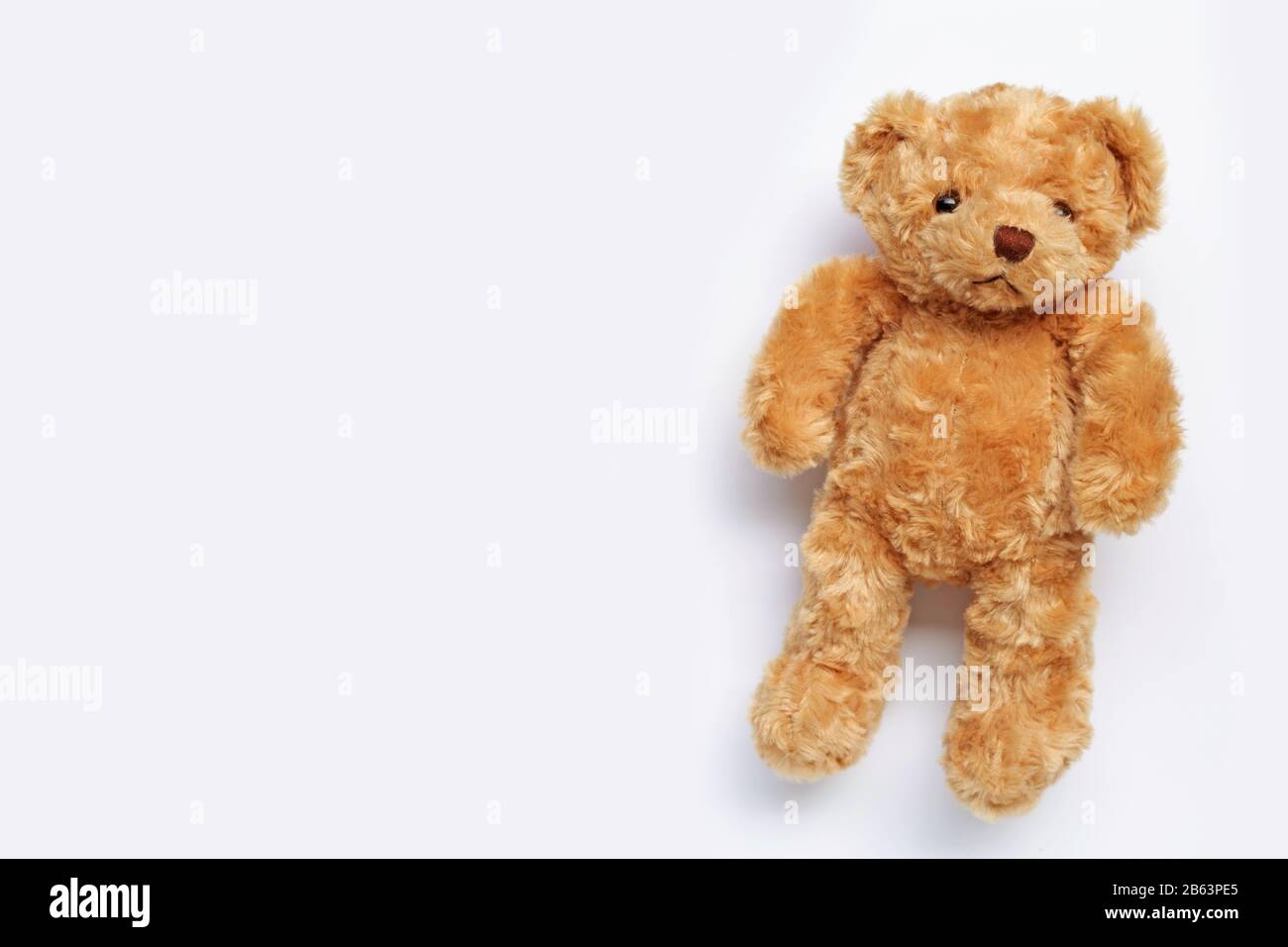 Toy brown bear on white background. Copy space Stock Photo - Alamy