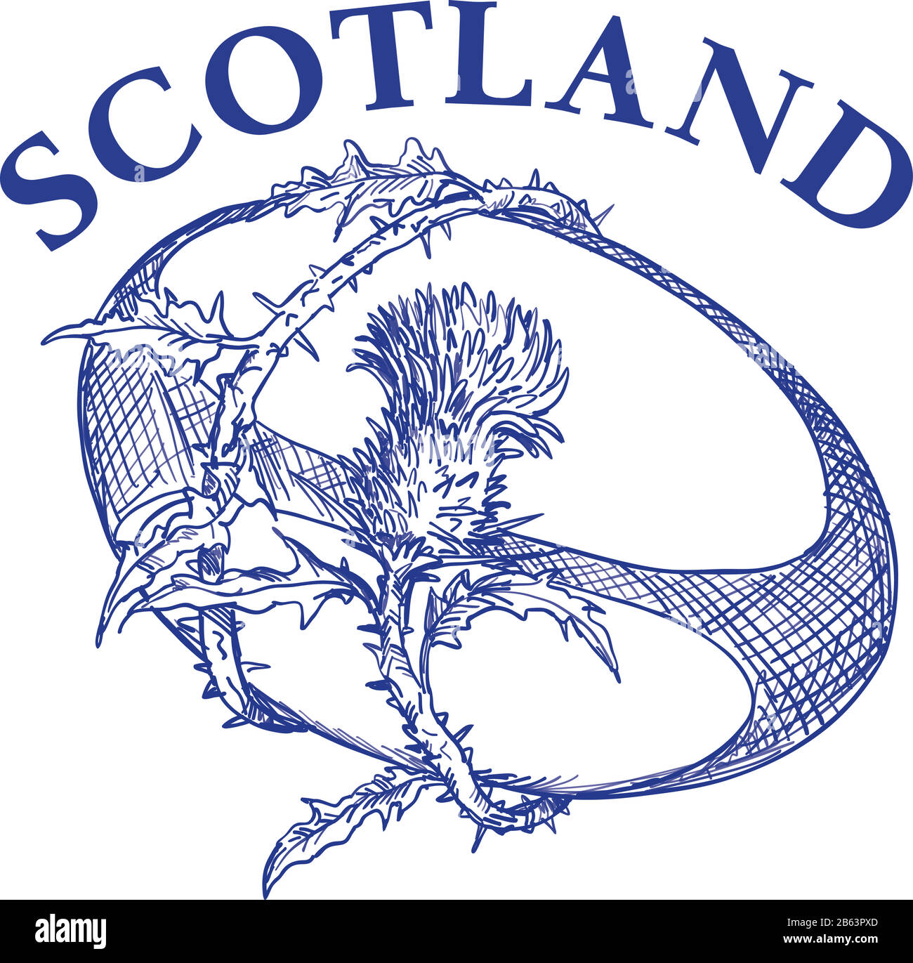 Hand sketched drawing illustration of rugby ball with Scotch thistle flower and vine entwined on isolated background with words 'Scotland'. Stock Vector