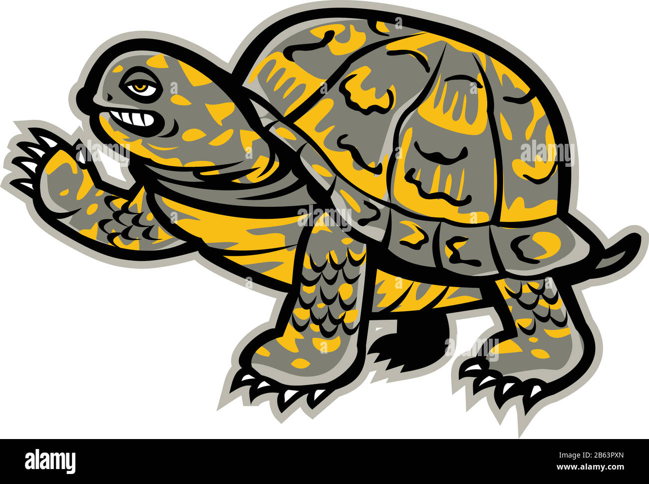 Mascot icon illustration of an eastern box turtle or land turtle