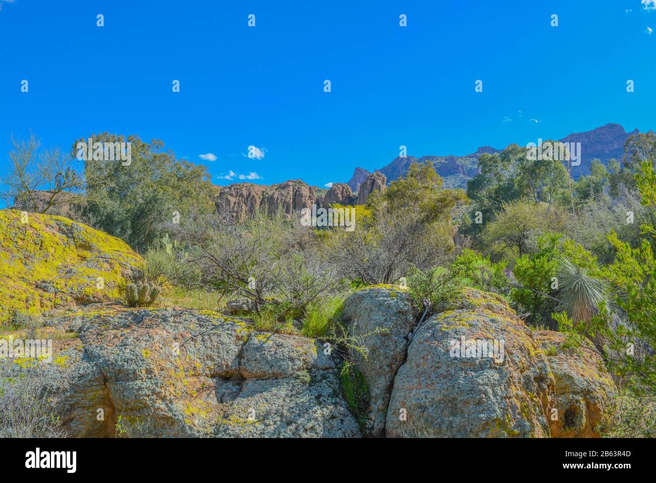 Magma Ridge Beautiful view from Boyce Thompson Arboretum State Park of the Magma ...