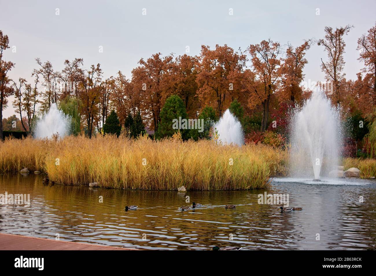 Fountain duck hi-res stock photography and images - Alamy