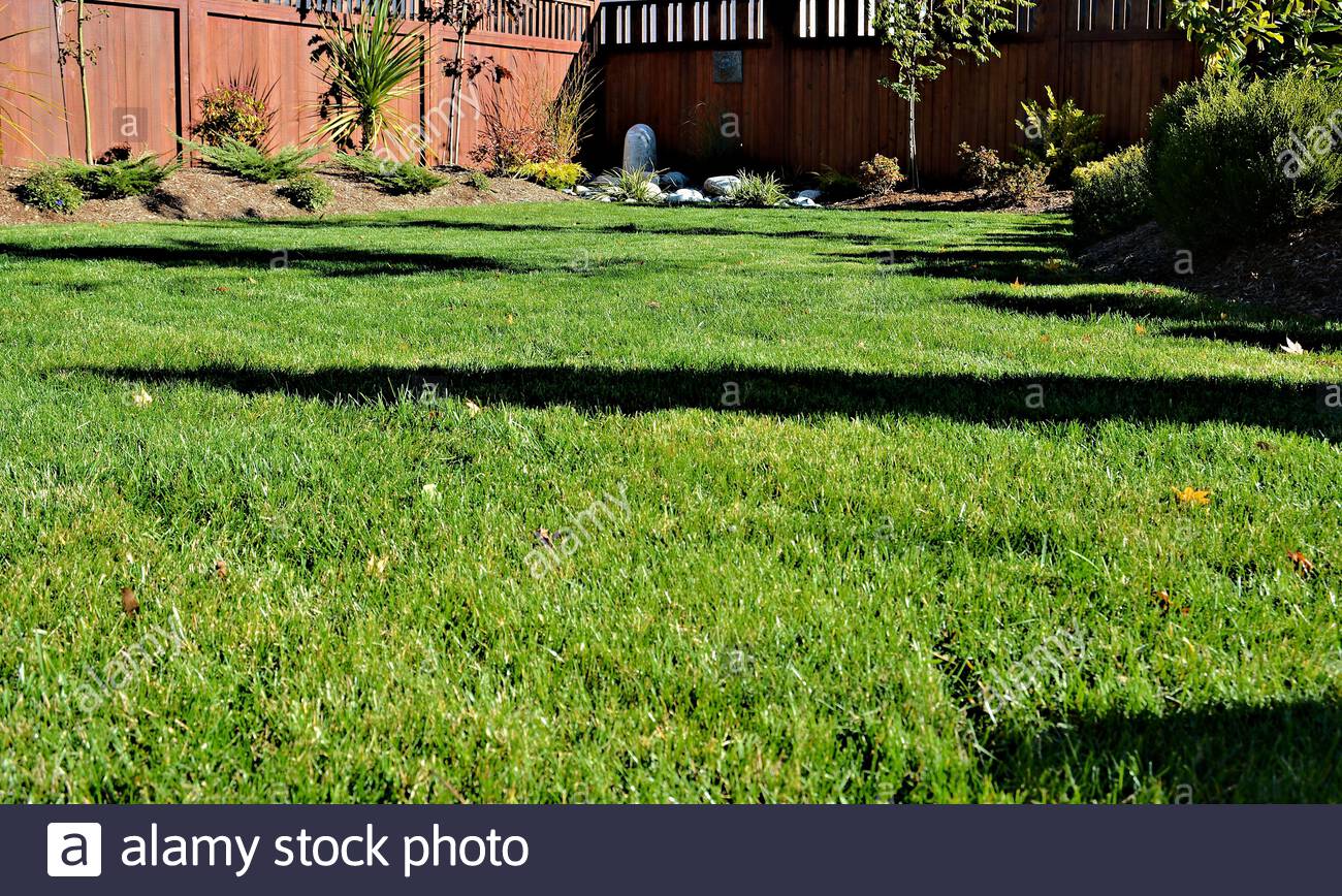 Low Angle View Of Healthy Grass Lawn Area In A Landscaped Backyard Garden Stock Photo Alamy