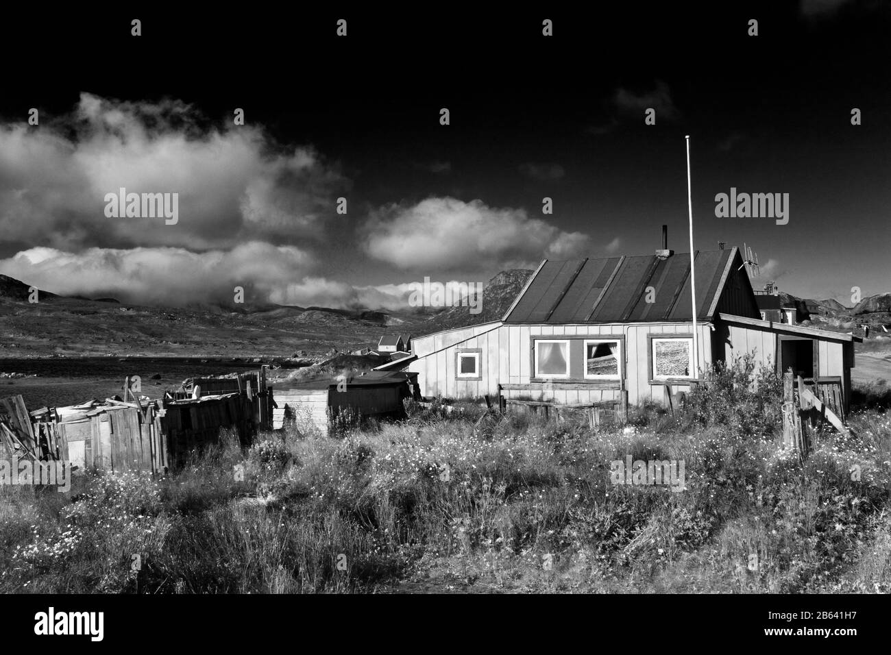 Black Oorno Telegraph Black Oorno Telegraph