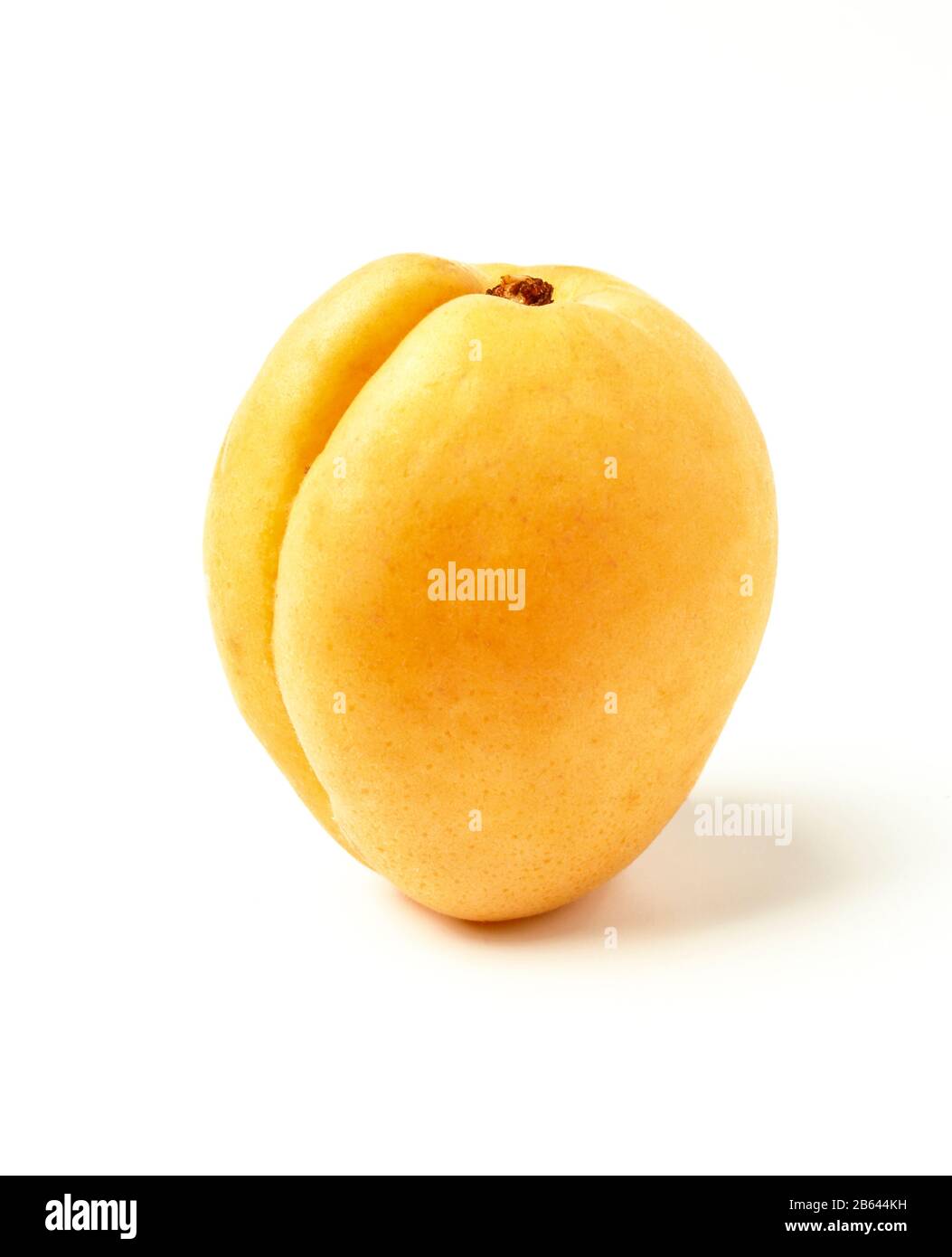Ripe apricot isolated on white Stock Photo