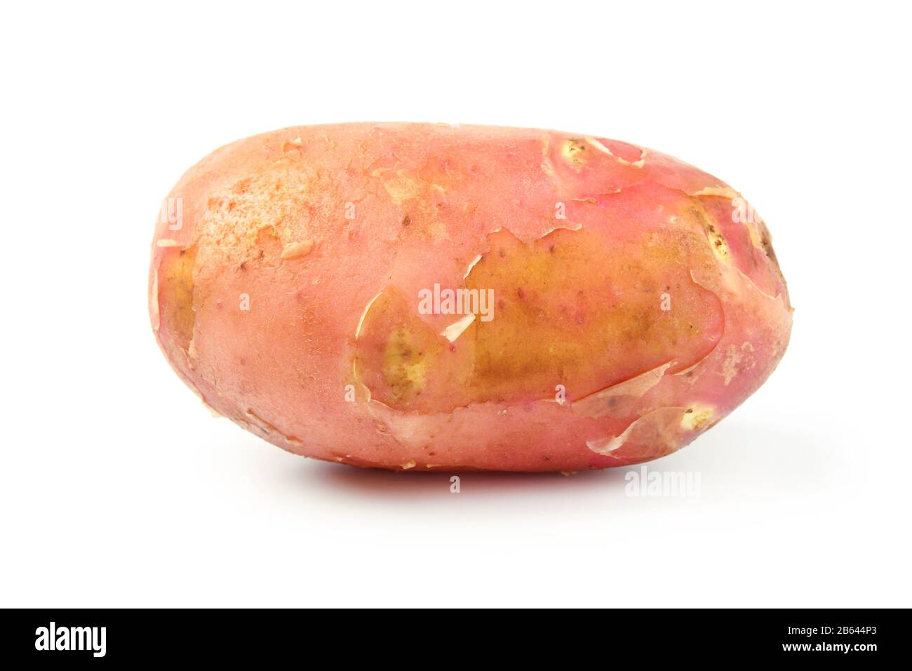 One young potatoe isolated on white background Stock Photo - Alamy