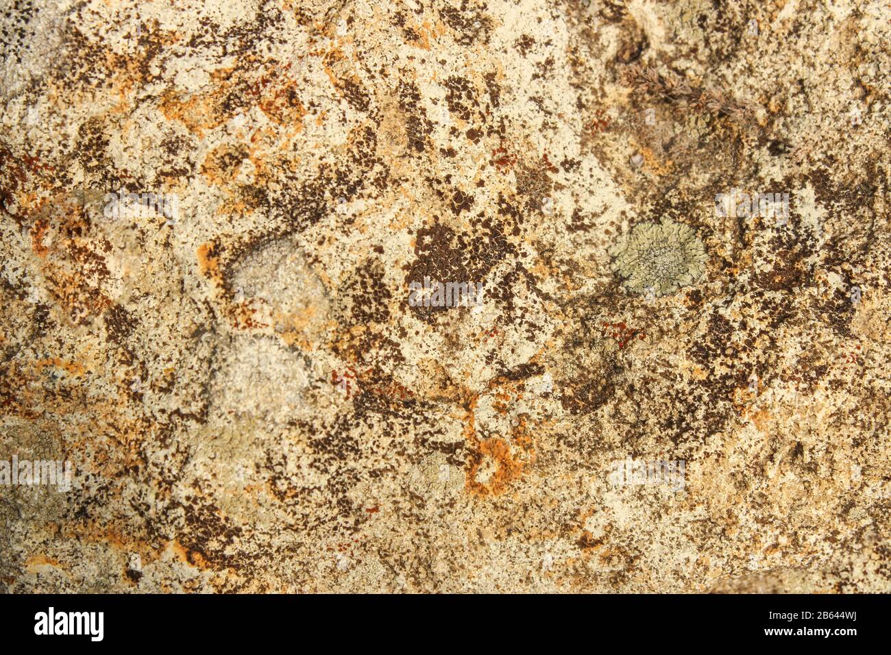 Structure of the stone as a background Stock Photo - Alamy