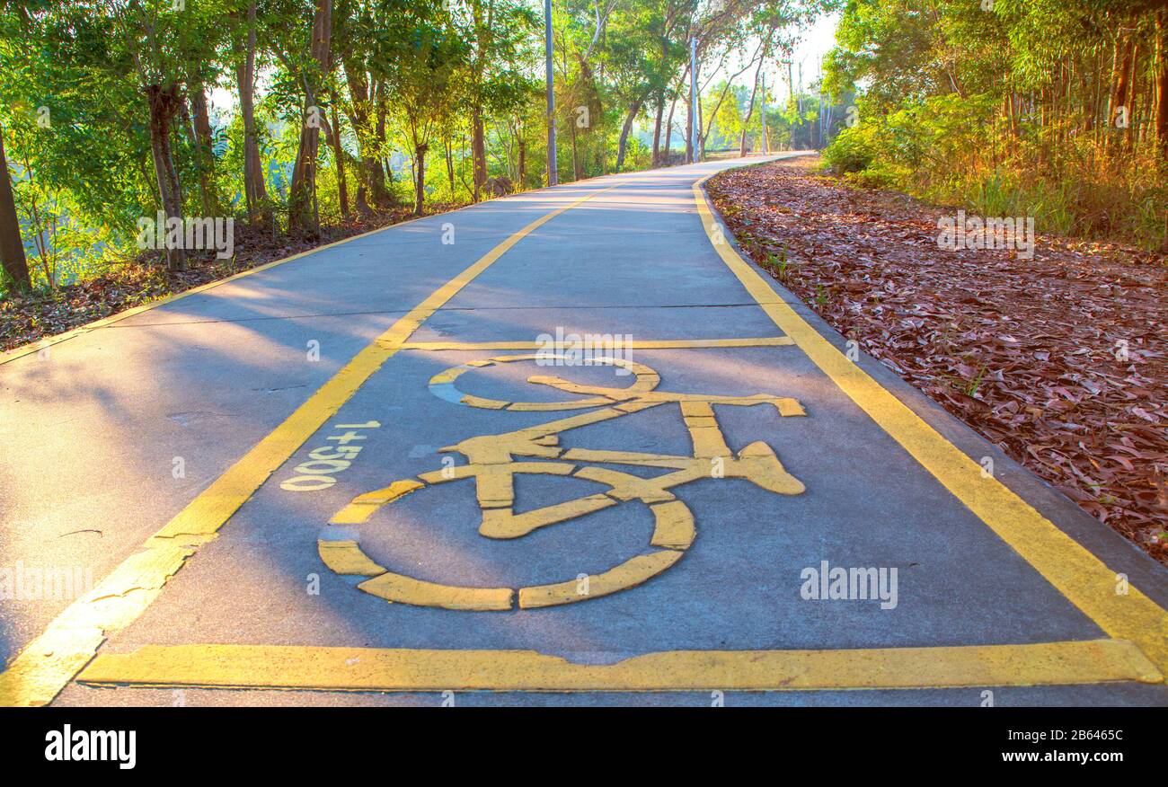 Bicycle lane. Bicycle path in the park, road is a thoroughfare, Road bicycler, asphalt, background, bicycle, bike, biking, city, cycle, cyclist, lane, Stock Photo