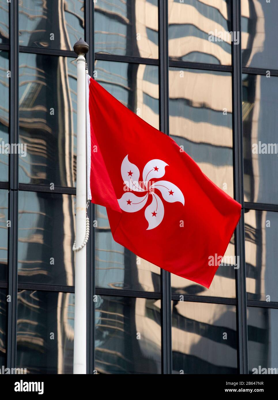 Hong Kong,China:29 Jan,2020.   The Hong Kong flag flies in the business district of Central Hong Kong. The design is based on the Bauhinia flower also Stock Photo