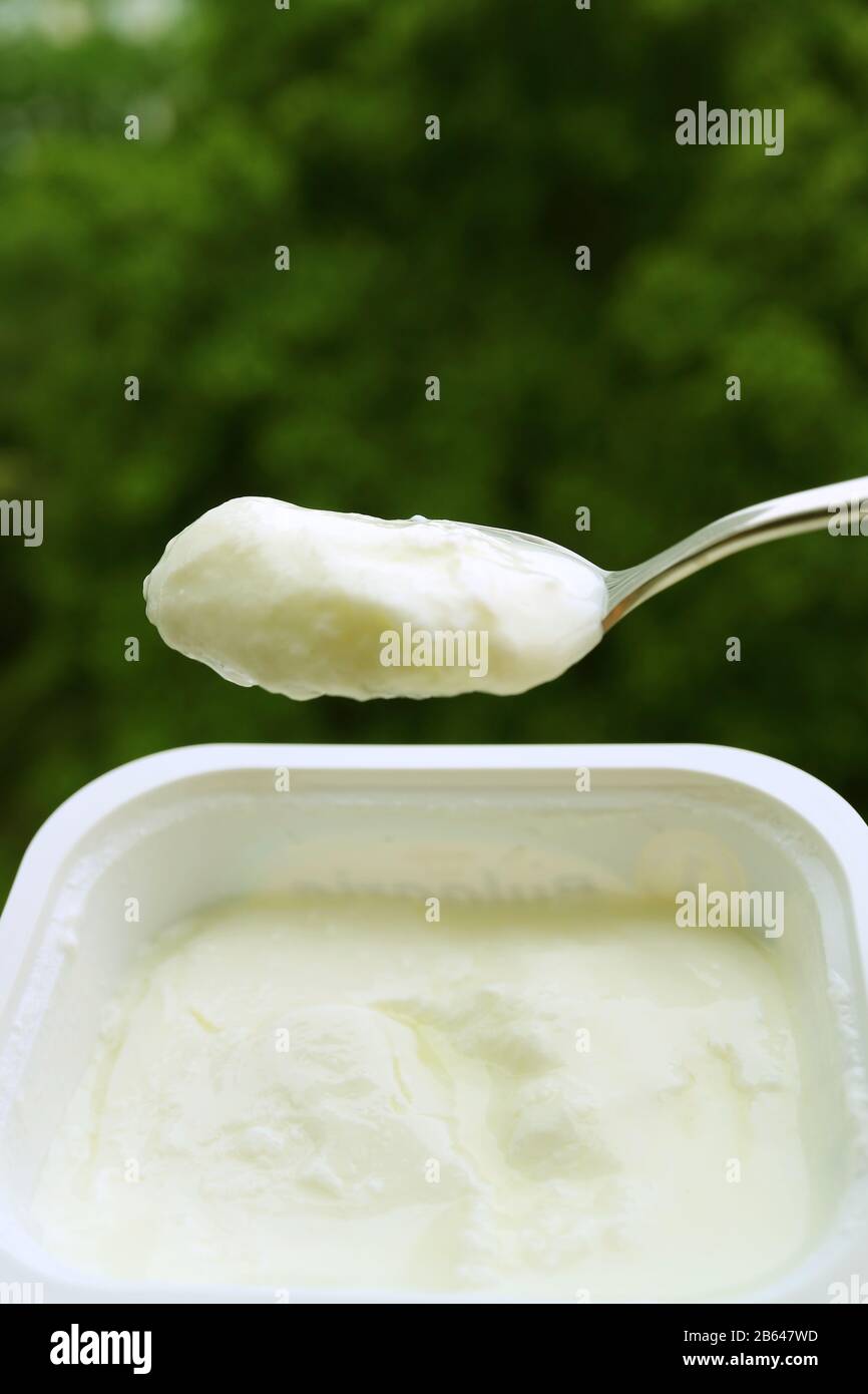 Vertical image of a spoon scooping yogurt from a bowl against blurry green foliage Stock Photo