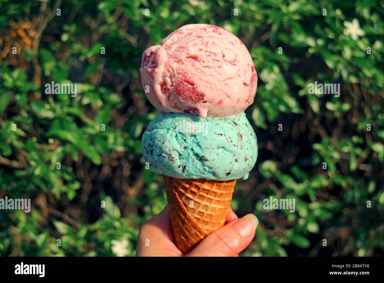 Hand holding two scoops of ice cream cone melting in the sunlight Stock Photo