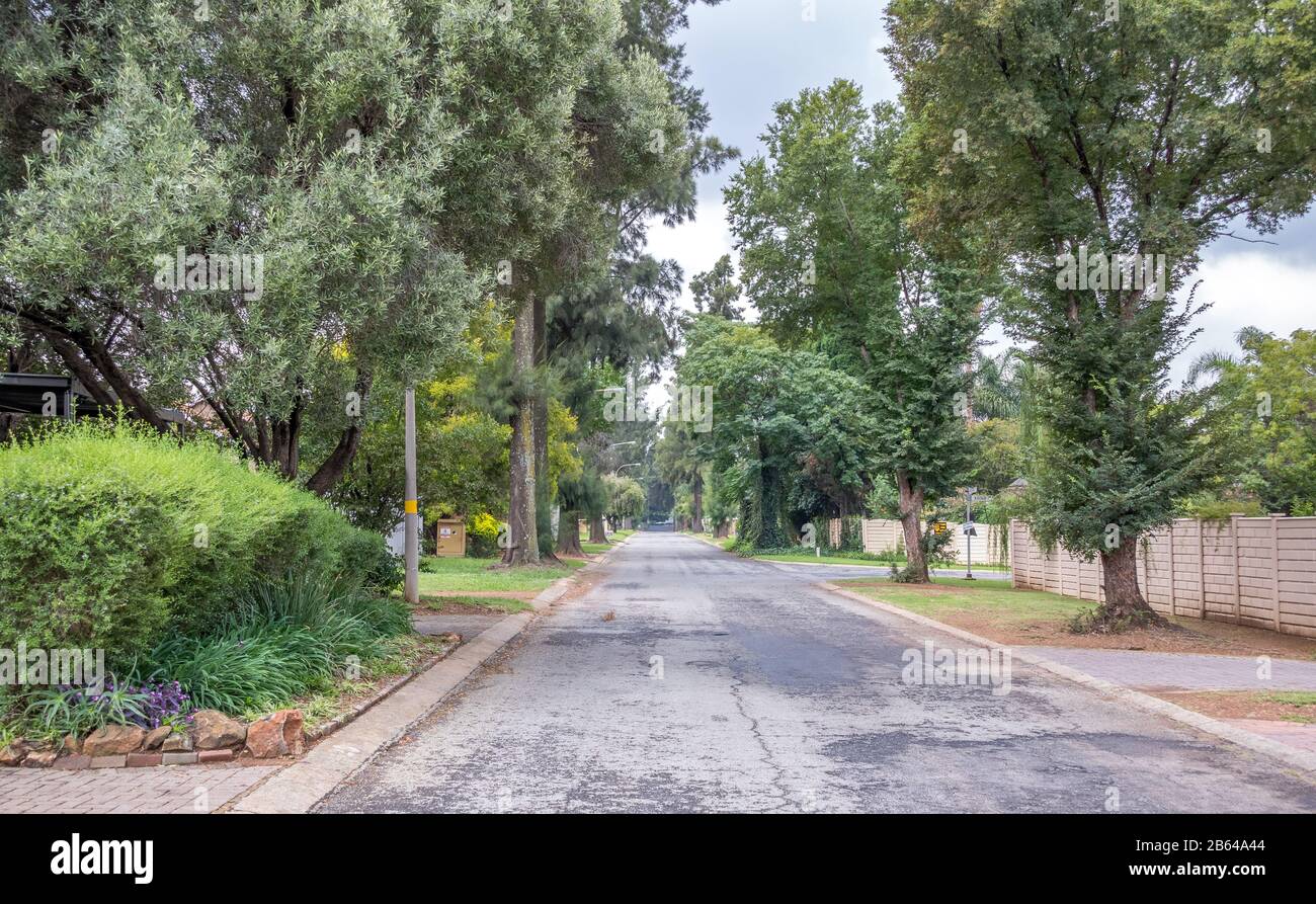 Alberton, South Africa a tree lined street in the suburb of