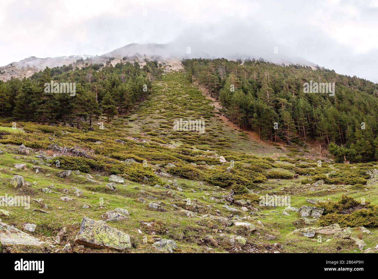 Traces of the recent landslide, avalanche and mudslide in the mountains of the Central Caucasus Stock Photo