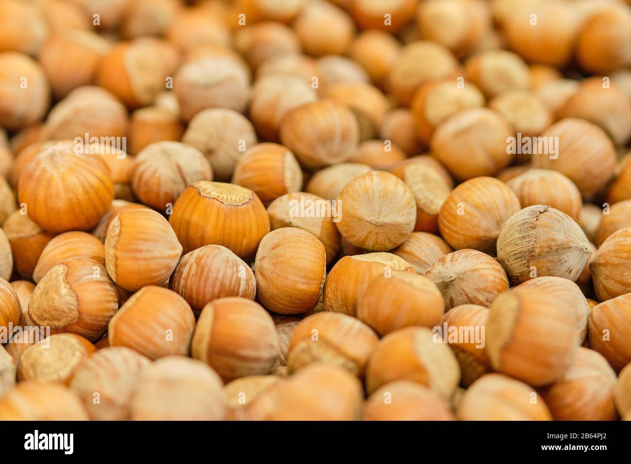Background texture of hazelnut nuts. Close up. Stock Photo