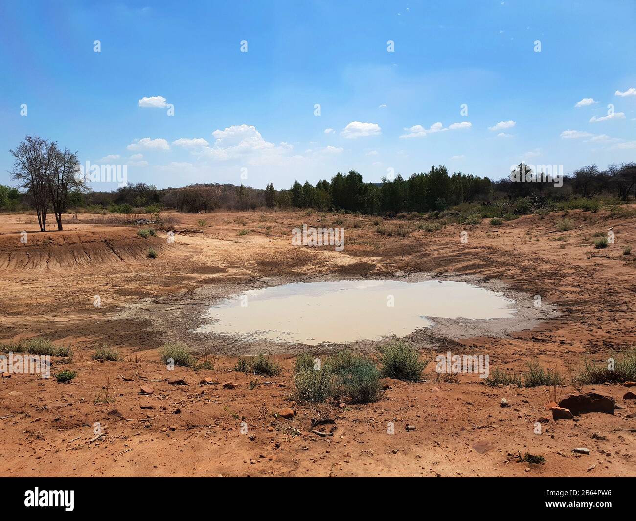 Man made dam on farm, Limpopo, South Africa Stock Photo Alamy