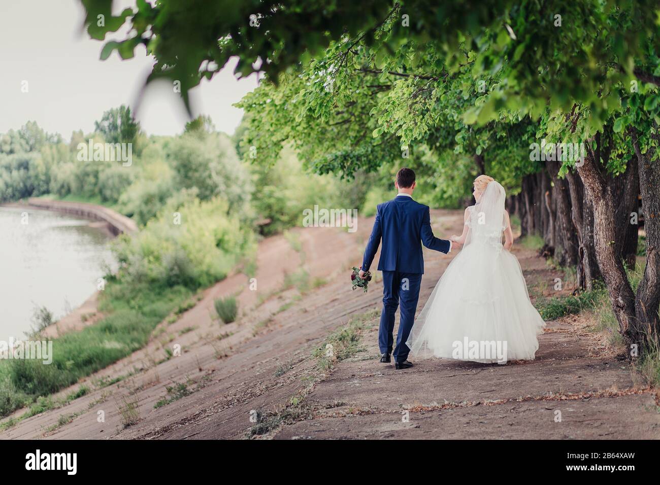 Back view of holding hands couple in love, bride and groom outdoor ...