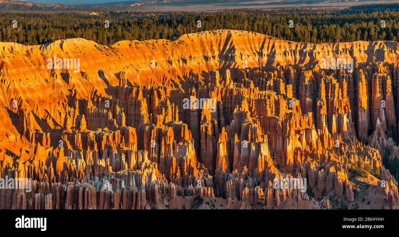 Hoodoos at Bryce Amphitheater at sunrise, view from Bryce Point, Bryce Canyon National Park, Utah, USA Stock Photo