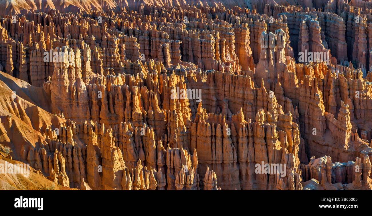 Hoodoos at Bryce Amphitheater at sunrise, view from Bryce Point, Bryce Canyon National Park, Utah, USA Stock Photo