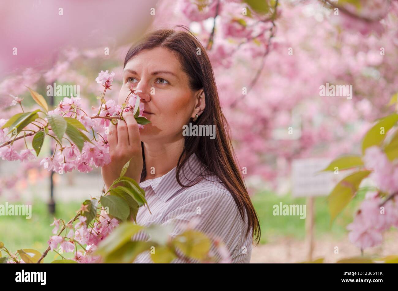 A young Caucasian girl enjoys the aroma and beauty of cherry blossoms. Cherry blossom in the city park of Dnipro Ukraine in Eastern Europe. Stock Photo