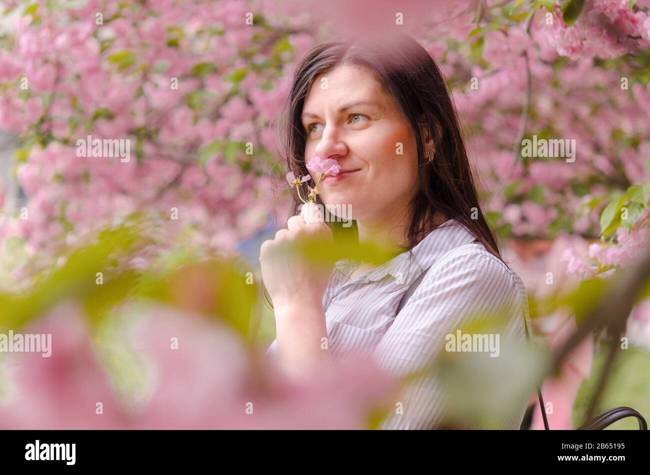 A young Caucasian girl enjoys the aroma and beauty of cherry blossoms. Cherry blossom in the city park of Dnipro Ukraine in Eastern Europe. Stock Photo