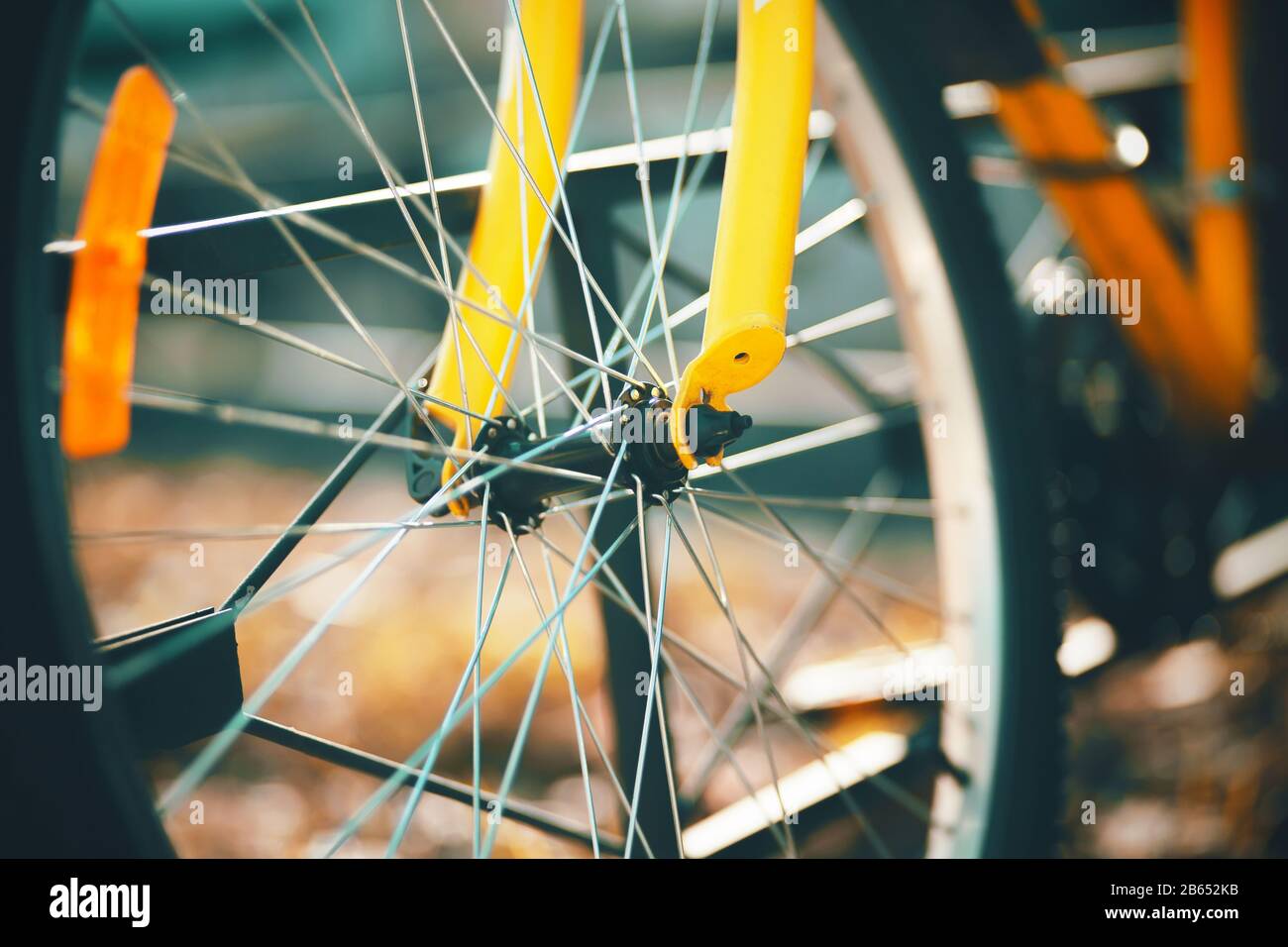The wheel of a sports bicycle with many metal spokes and an orange