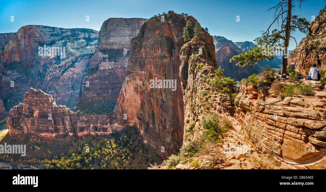 Angels Landing Trail, final ascent near Scout Lookout, Zion Canyon on left, The Organ below, Zion National Park, Utah, USA Stock Photo