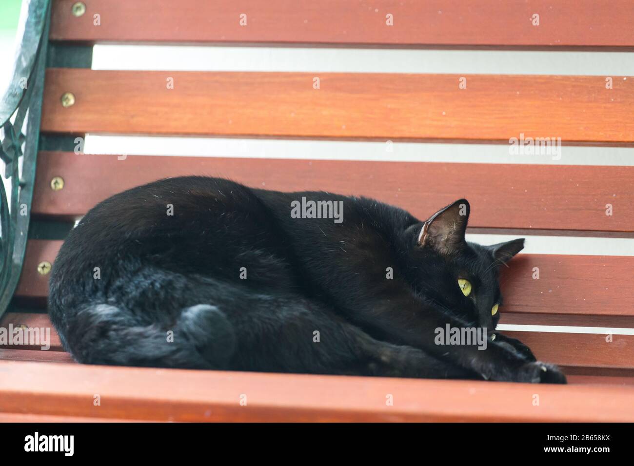 Slacking hi-res stock photography and images - Alamy