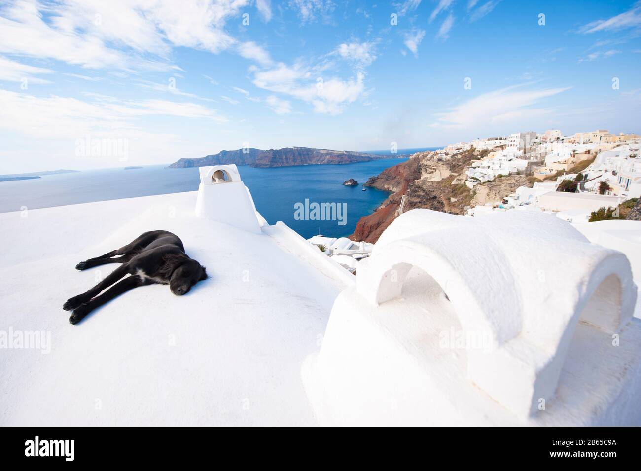 Stray dog relaxing in Mediterranean sun on a whitewashed rooftop overlooking the Santorini caldera in Oia, Greece Stock Photo